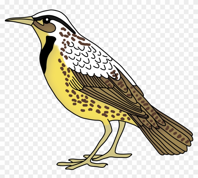 Teacher Treasure Hunter - Meadowlark Bird Clip Art #743292
