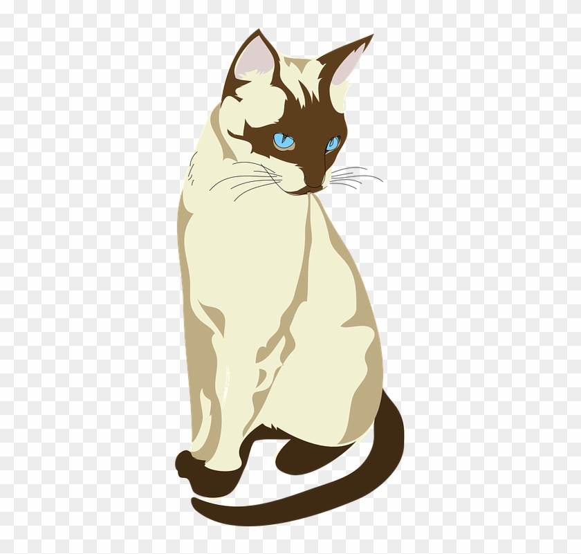 Siamese Cat Clipart Animated - Siamese Cat Clipart #743327