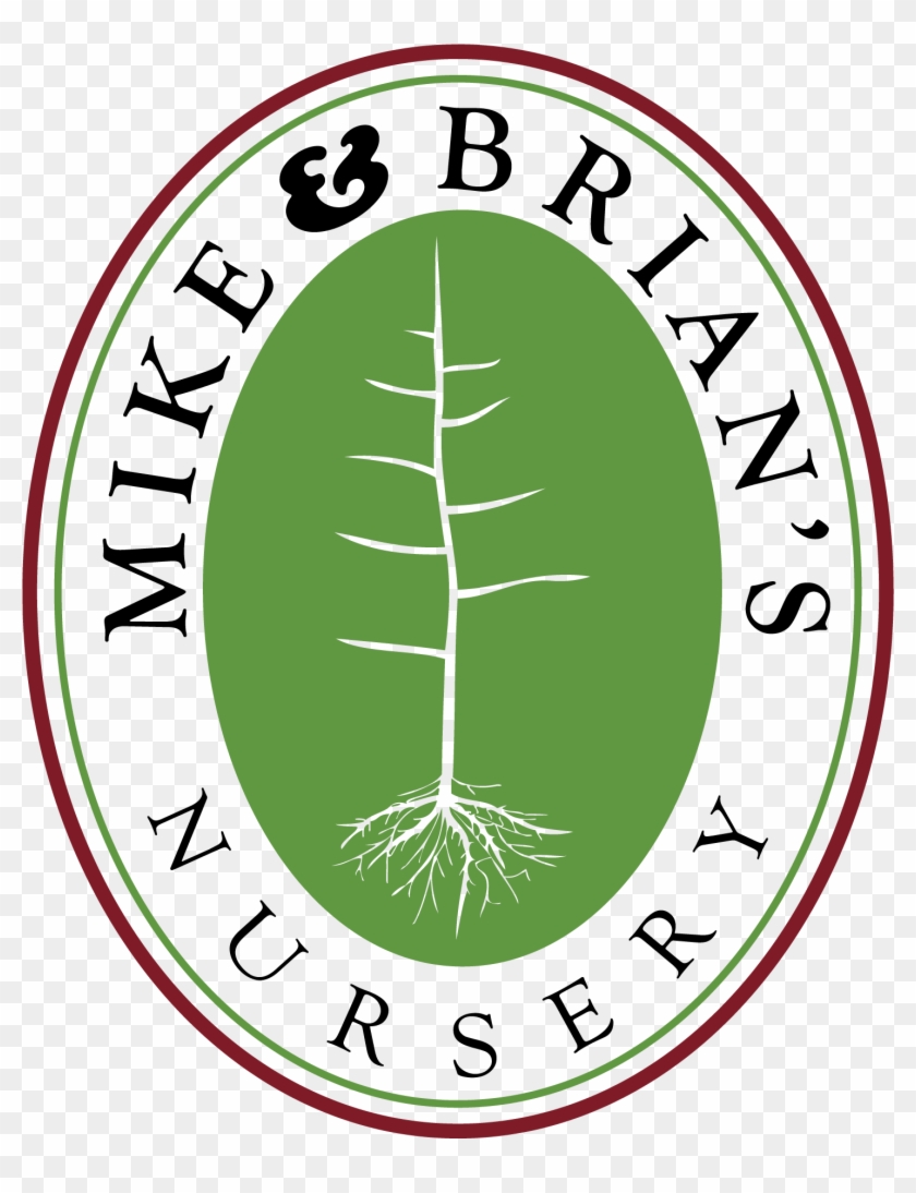 Mike And Brian's Nursery - Mike & Brian's Nursery, Inc #743356