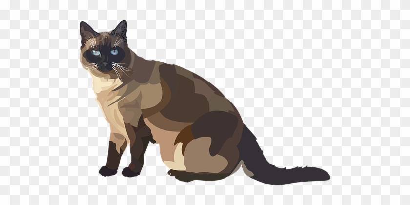 Siam, Cat, Breed Cat, Animal, Blue Eye - Siamese Cat Illust Free Png #743392