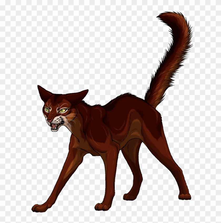 Cat Foxy [2] By Spirit Of Alaska - Cat #743401