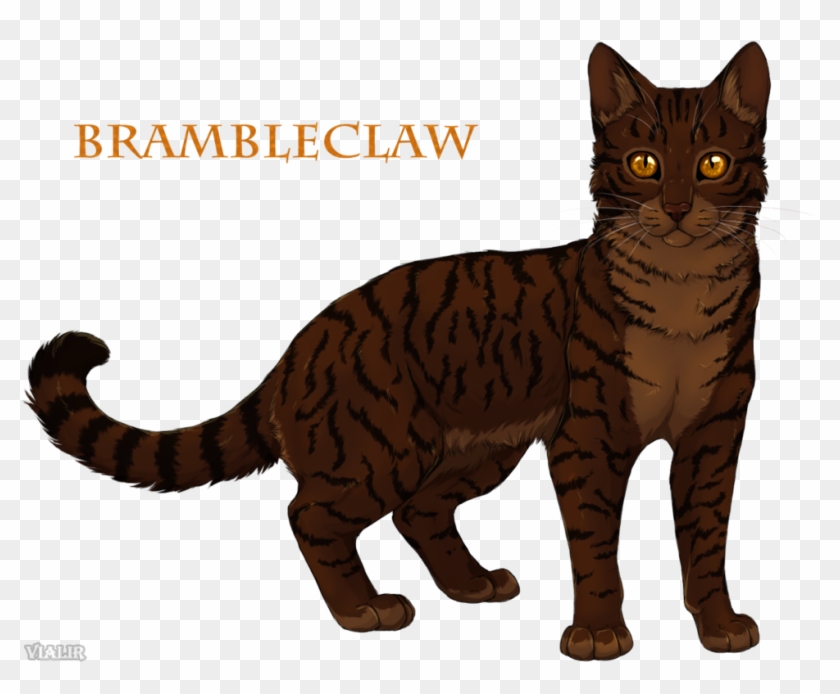 Brambleclaw By Vialir Brambleclaw - Erin Hunter Warriors Brambleclaw #743438