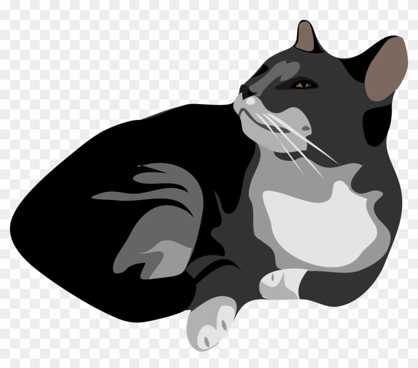 Clipart - - Cat Clipart No Background #743450