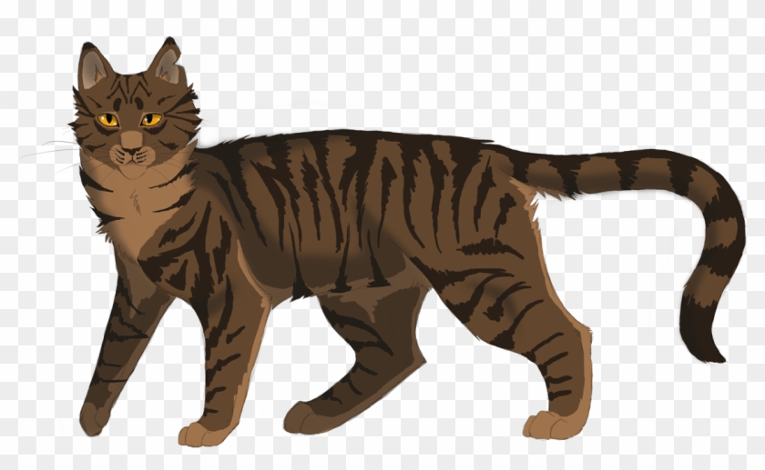 Tigerheart To Ivypool In The Forgotten Warrior, Page - Warrior Cats Deviantart Tigerheart #743459