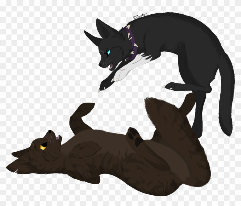 Warrior Cats Scourge Vs Tigerstar #743467