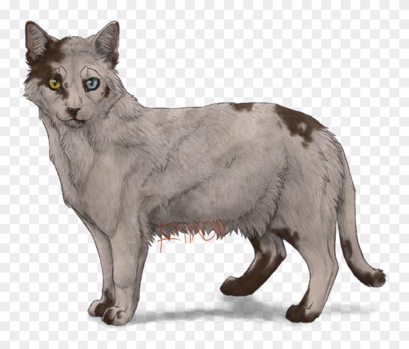 Piebald Cat By Riixon - Brown Piebald Cat #743528