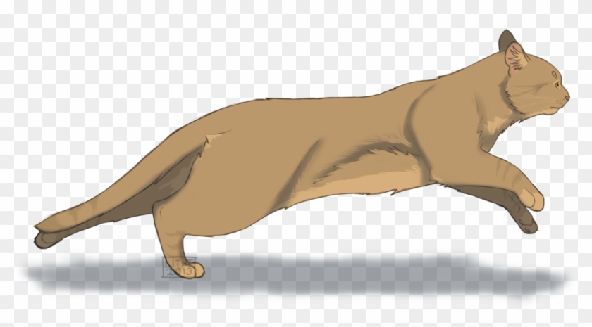 Warrior Cats Windstar #743536