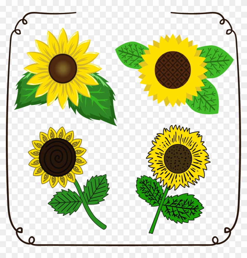 Common Sunflower Euclidean Vector Drawing Download - Common Sunflower Euclidean Vector Drawing Download #743573