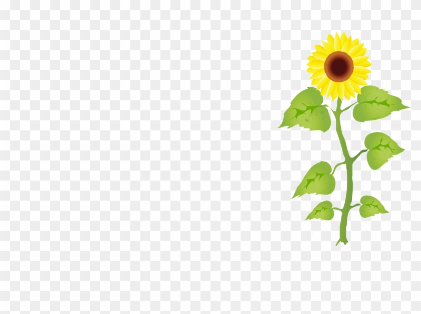 Grow3 - - Sunflower Seed Growth Illustration #743590