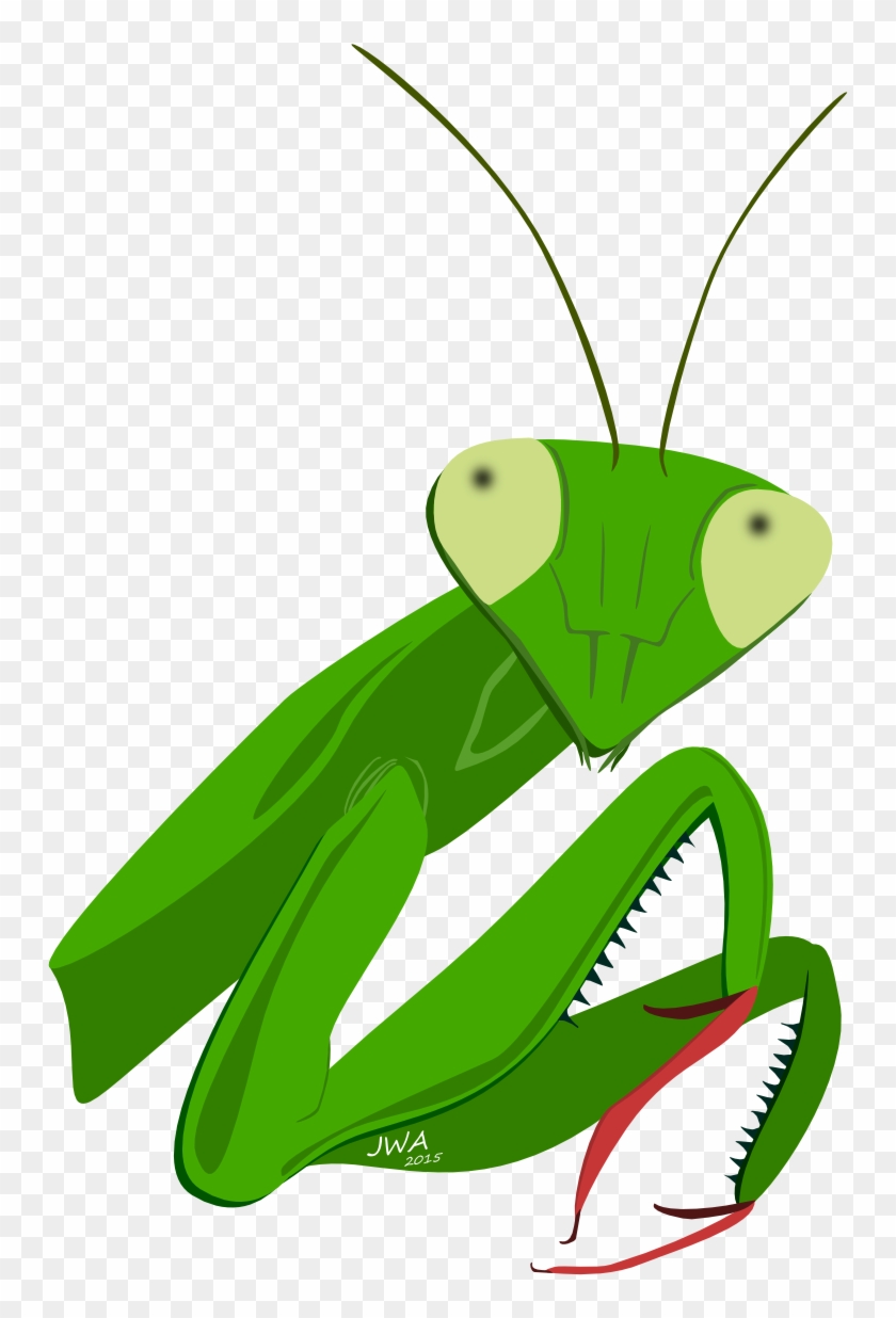 praying mantis face drawing