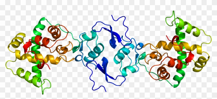 Cysteine Rich Secretory Protein Structure Journal #744101