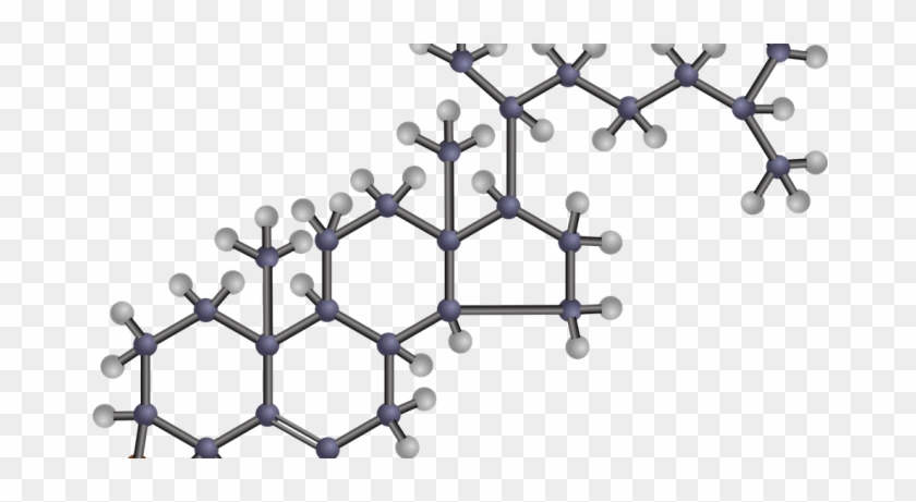 Hypercholesterolemia Treatment Market - Benefits Of Cholesterol #744168