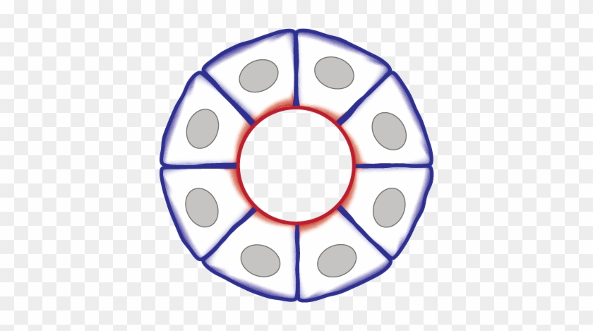 Multicellular - Farmatrust Ico #744219