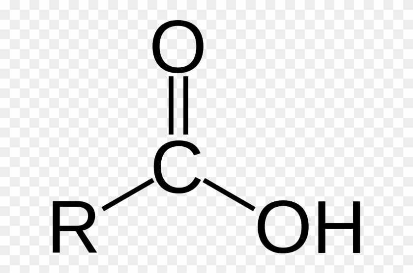 Triglycerides Are Synthesised By The Formation Of An - Carboxylic Acid Functional Group #744318