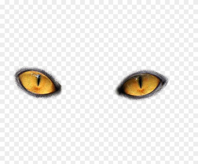 Cat Eye Clip Art - Yellow Eyes Png #744328