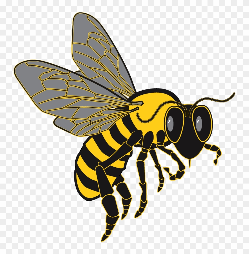 Bee Graphic From Clip Art Package - Killer Bee Transparent Background #744354