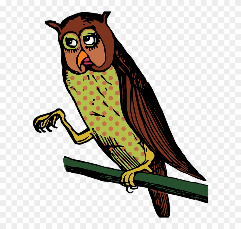 Woodpecker Clipart 18, Buy Clip Art - Owl Journal By Dibiasio Publications 9781540738196 #744369