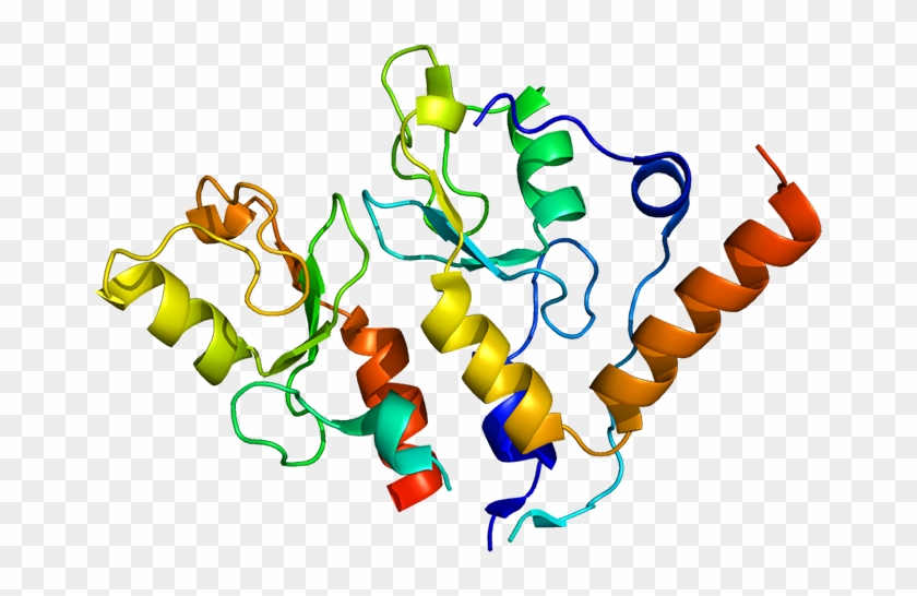 Bmi1 Is A Polycomb Ring Finger Oncogene - Bmi1 #744370