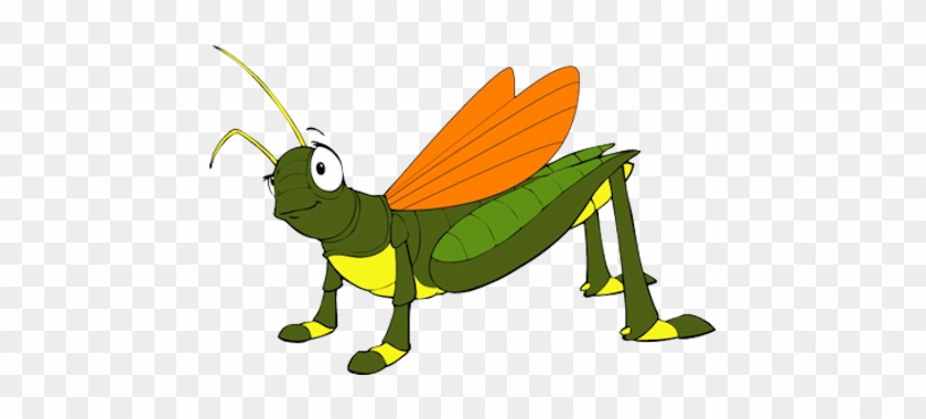Grasshopper - Grasshopper #744402