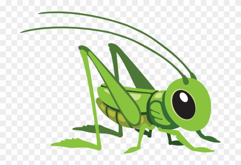Grasshopper Png - Cartoon Grasshopper #744428
