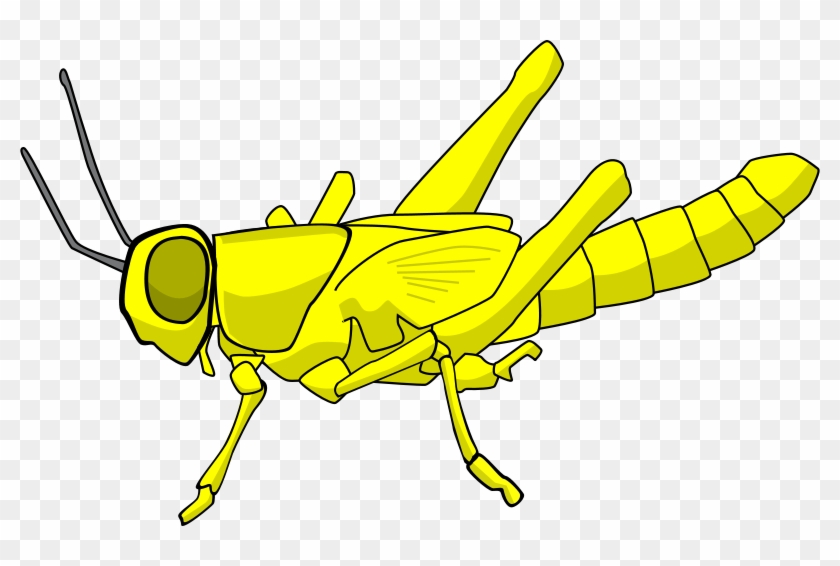 Destructive Yellow, Cartoon, Insect, Locust, Pest, - Locust Clipart #744435