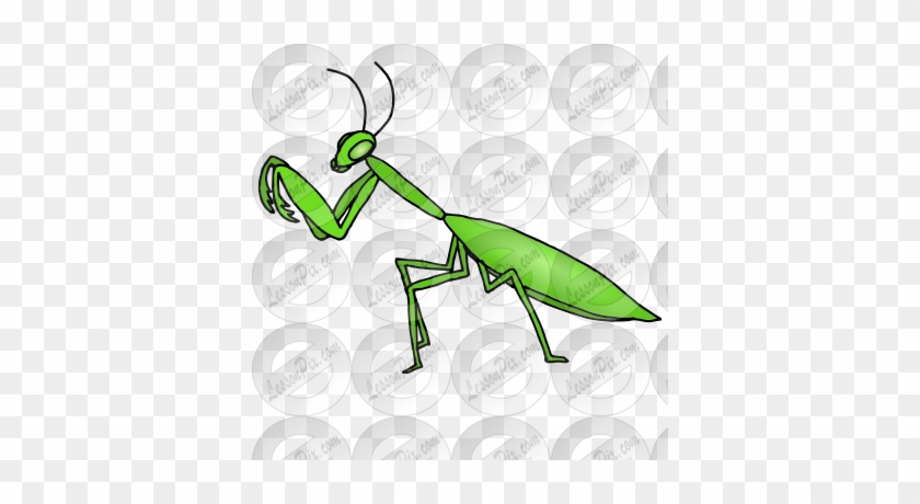 Praying Mantis Clipart Green Bug - Mantis #744440