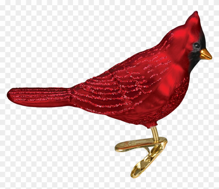 Northern Cardinal Matte Finish Bird Clip Ornament - Northern Cardinal #745057
