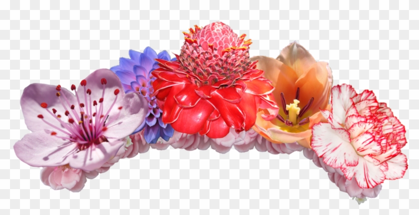 Crown Png - Flower Crown Png #746110