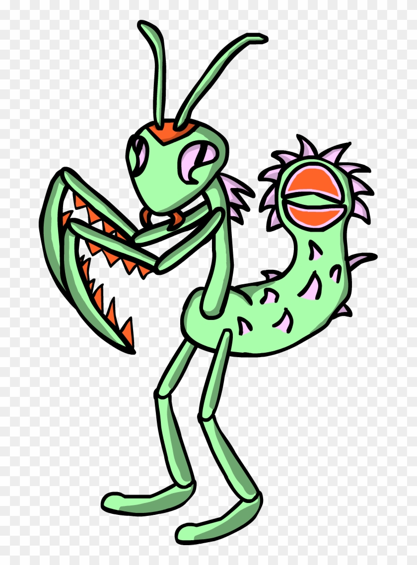 Green European Mantis - Green European Mantis #746630