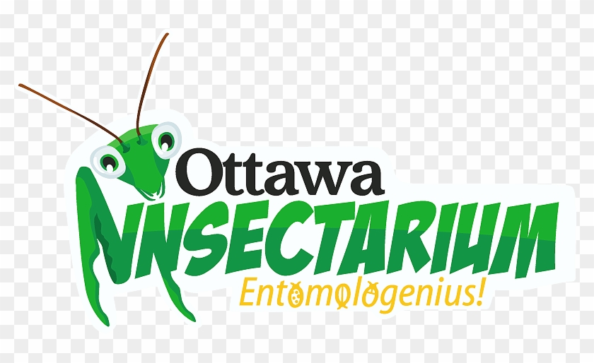 Upcoming Events - Ottawa Insectarium #746651