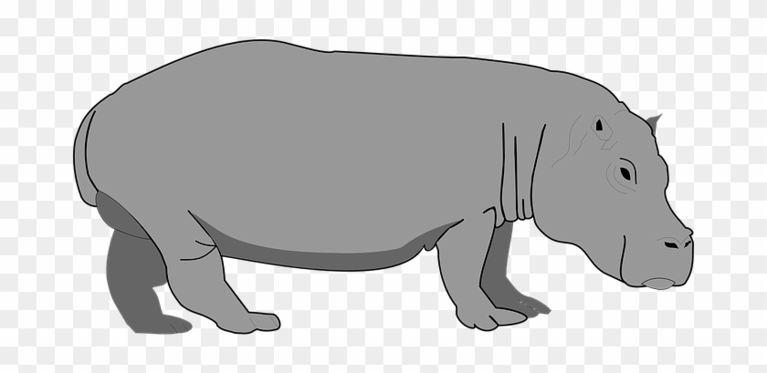 Hippo Gray Hippopotamus Wildlife Safari Af - Hippo Clipart #746716