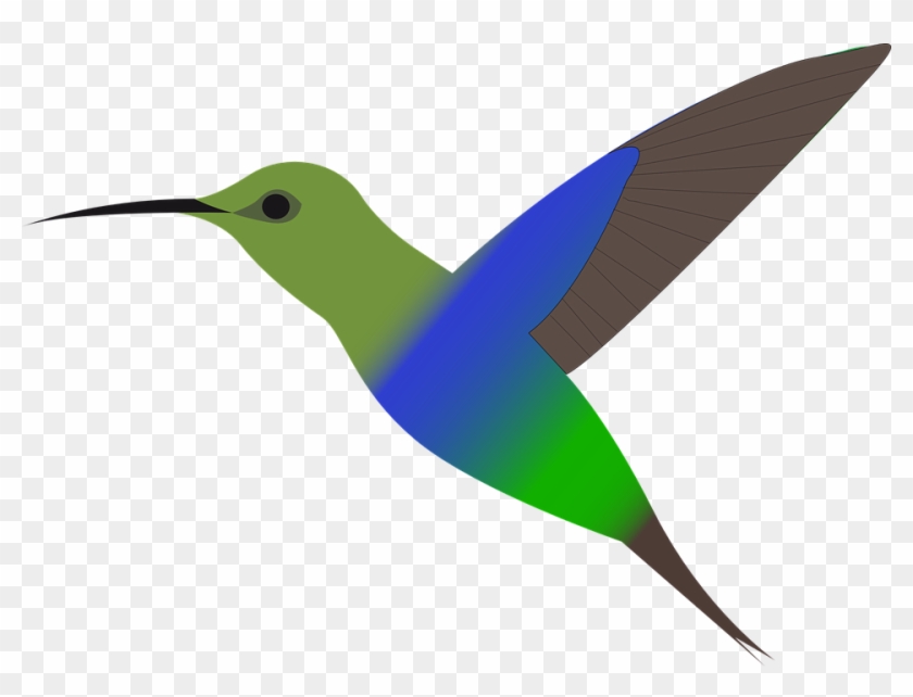 Bird Humming-bird Hummingbird Flying Color - Desenho De Beija Flor Colorido #746925