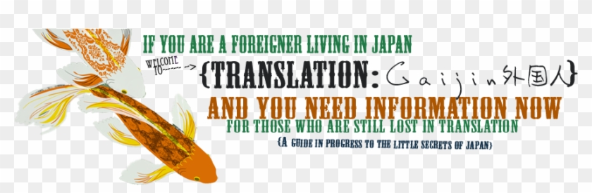 Gaijin, Renting In Japan, Where To Rent Ok, So Fallowing - Gaijin #747052