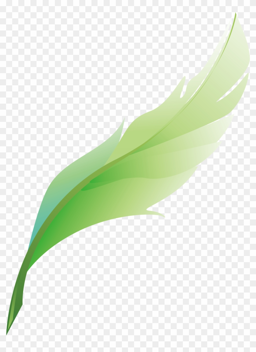 Feather Png Vector Element - Feather Png Vector #747263