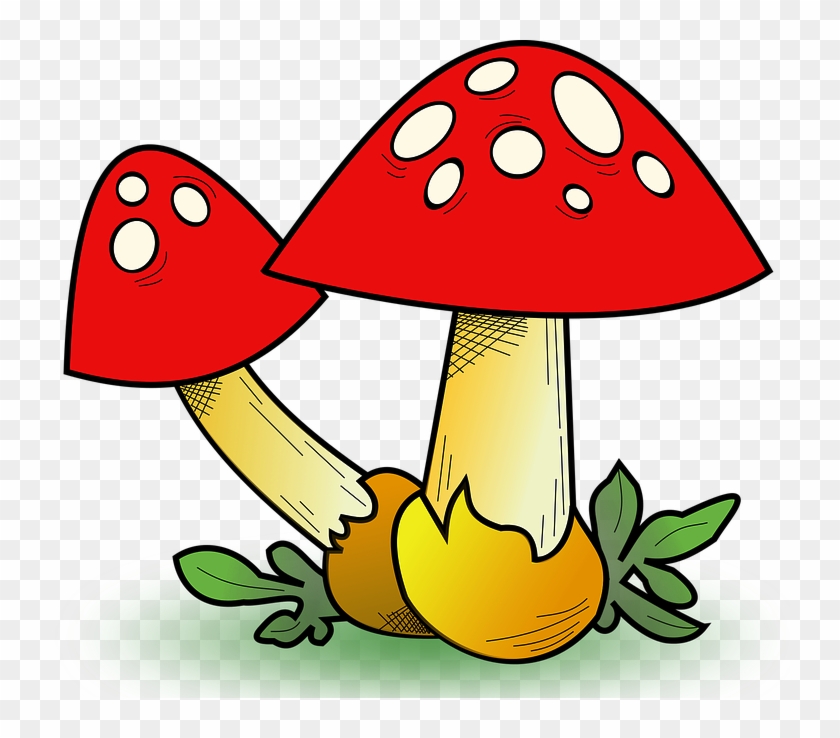 About Fungi - Fungi Clipart #747943
