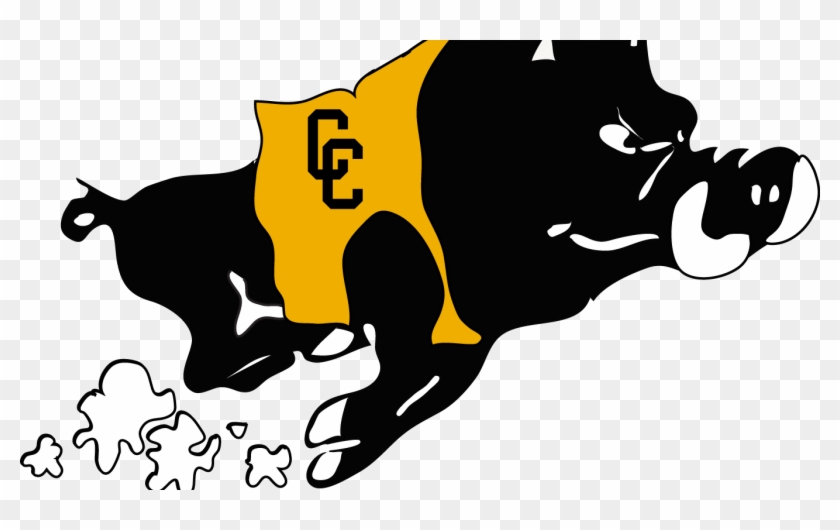 Colquitt County High School Mascot #748129