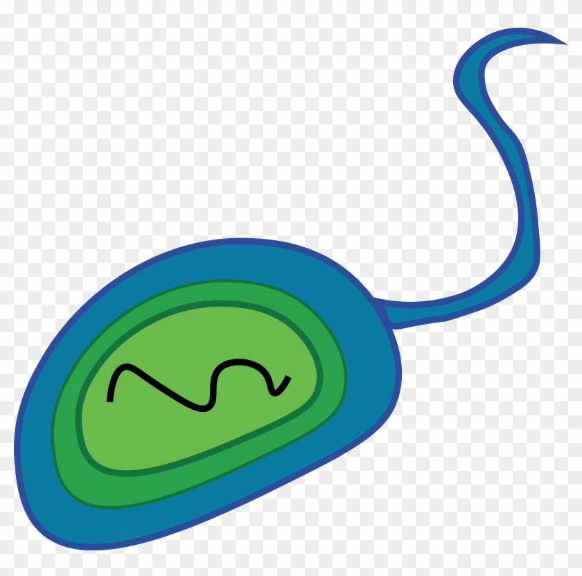 There Are Two Types Of Cells - There Are Two Types Of Cells #748213