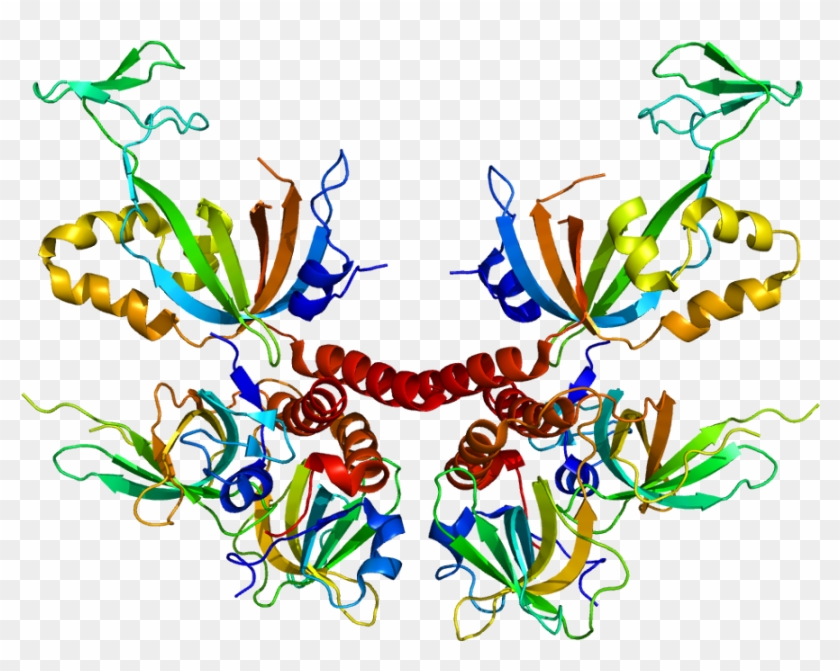 Protein Strand #748235