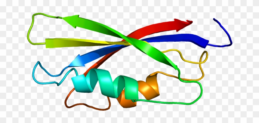 Protein Data Bank #748283