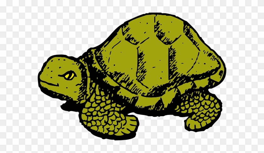 Cartoon Tortoise - Clipart Library - Green Turtle Shower Curtain #748302