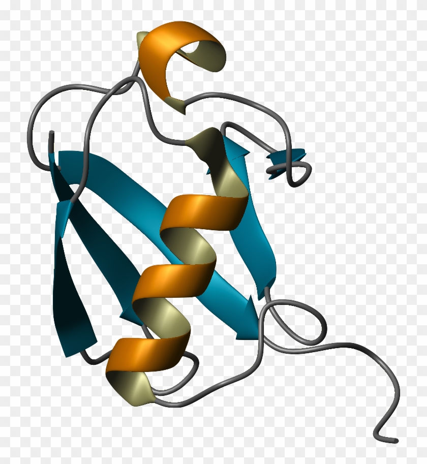 Ubiquitin Structure #748322