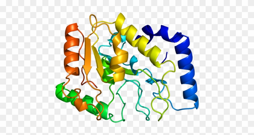 Available Structures - Uracil Dna Glycosylase Structure #748416