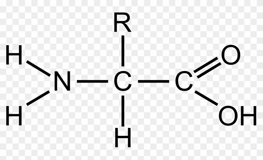 This - General Structure Of An Amino #748425