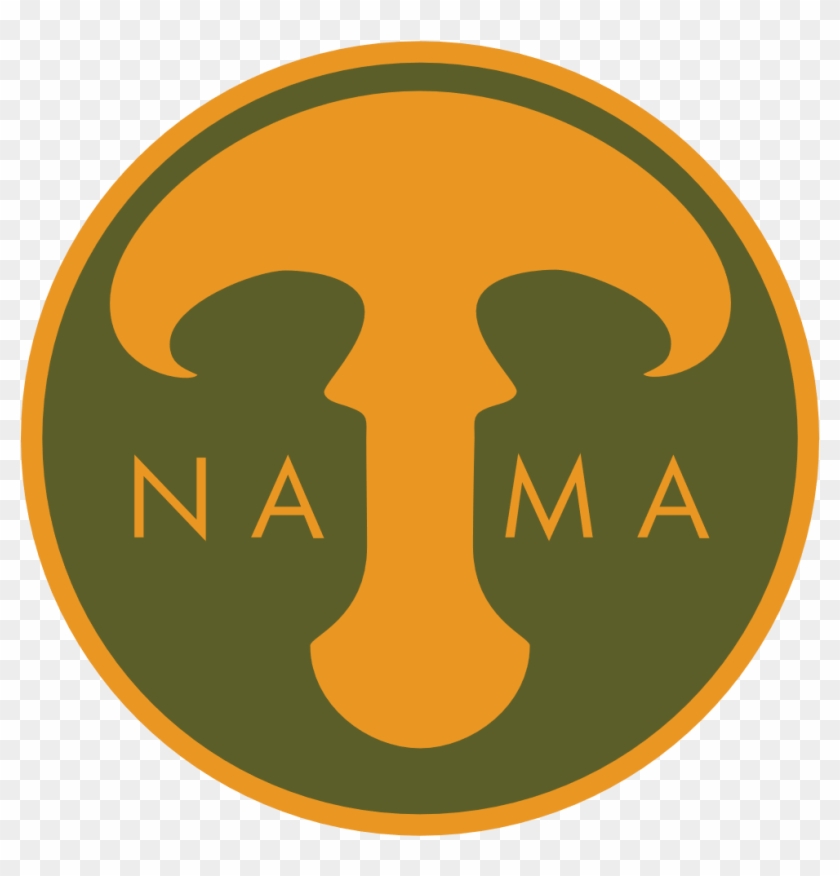 Nama - Advanced Systemcare #748477
