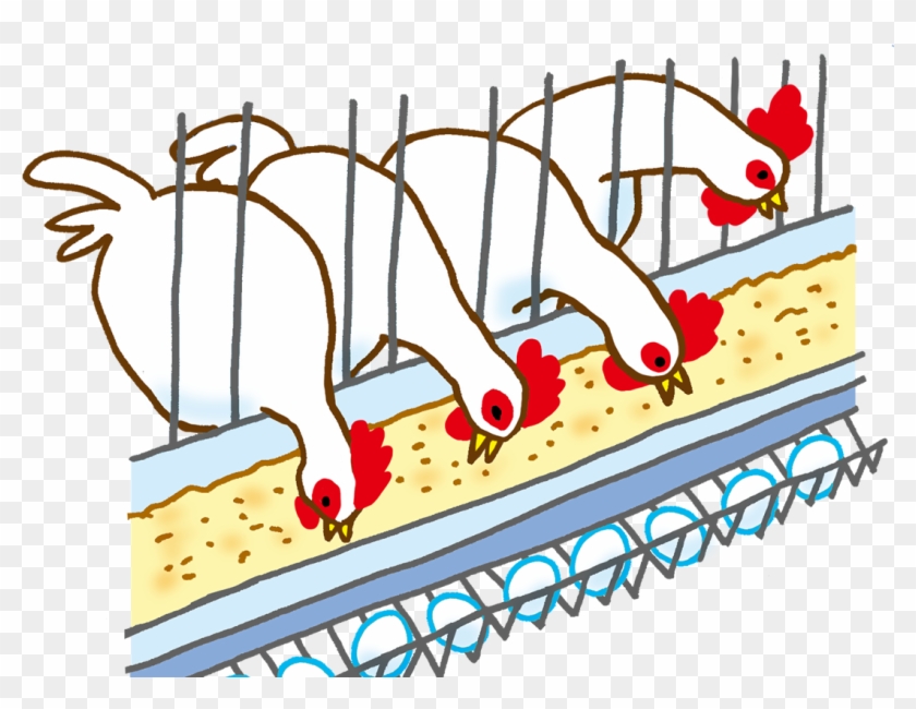 Poultry Farming Diagram Clip Art - Poultry Farming Diagram Clip Art #748855
