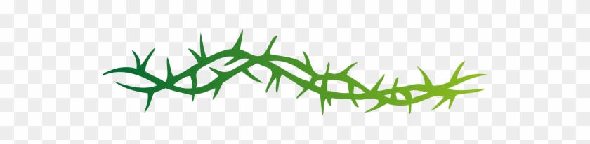Free Vector Spine - Vine Of Thorns Drawing #748875