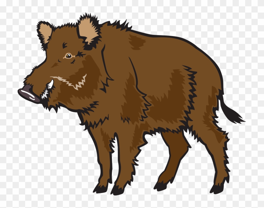 Wild Boar Common Warthog Clip Art - Wild Boar Common Warthog Clip Art #749033