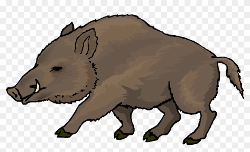 Wild Boar Clip Art - Wild Boar Clipart #749094