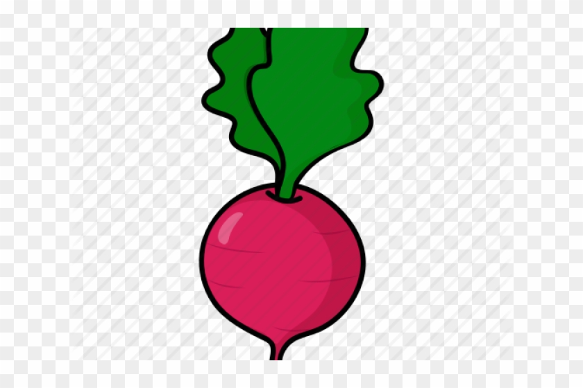 Beetroot Clipart Vegitables - Beetroot #749750