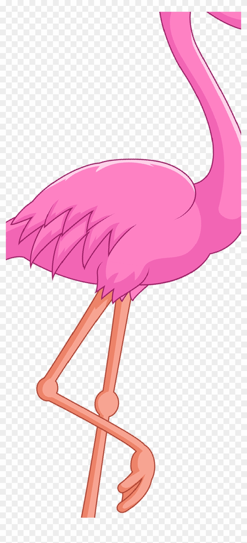 Water Bird Vertebrate Beak - Flamingo Pink Png #749753